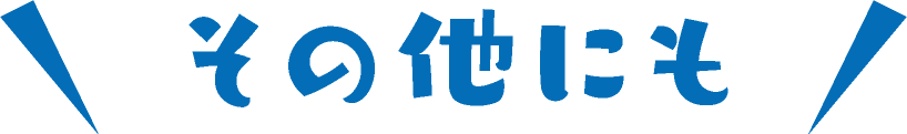 その他にも